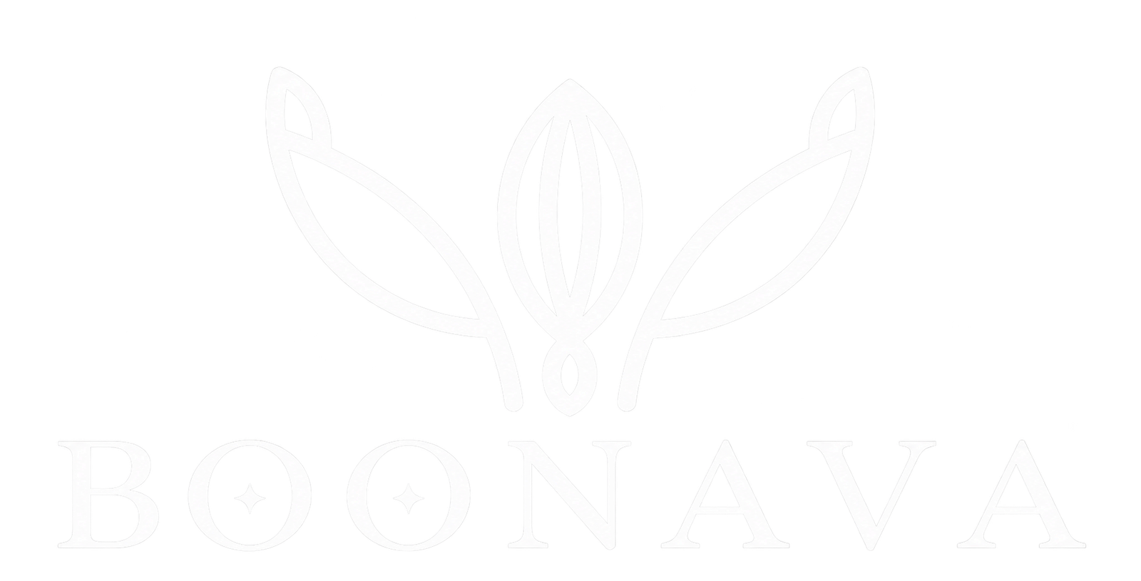 Boonava Logo